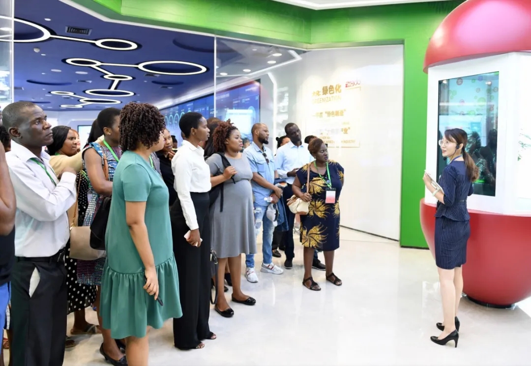 王阿敏5.webp 王阿敏5.webp