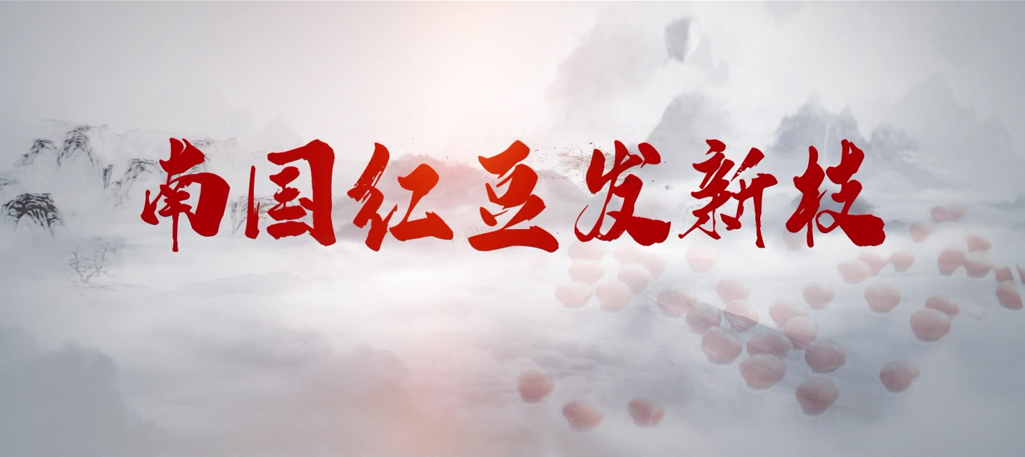 南國w66國際發新枝