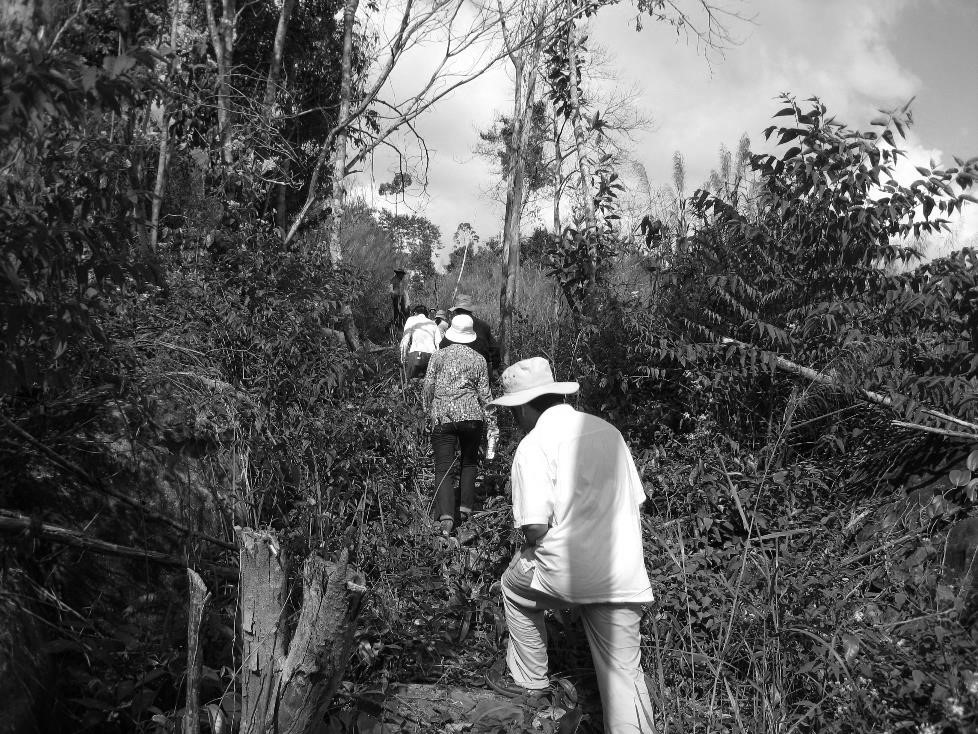 西港先鋒團(tuán)隊1 西港先鋒團(tuán)隊1