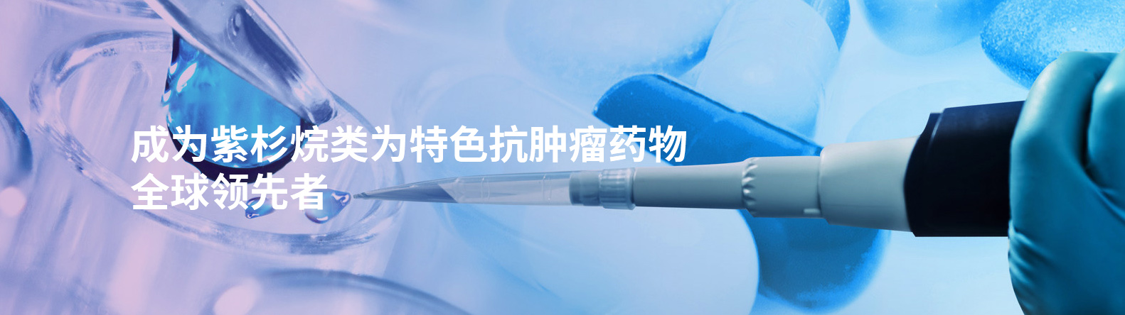 w66國際杉大健康