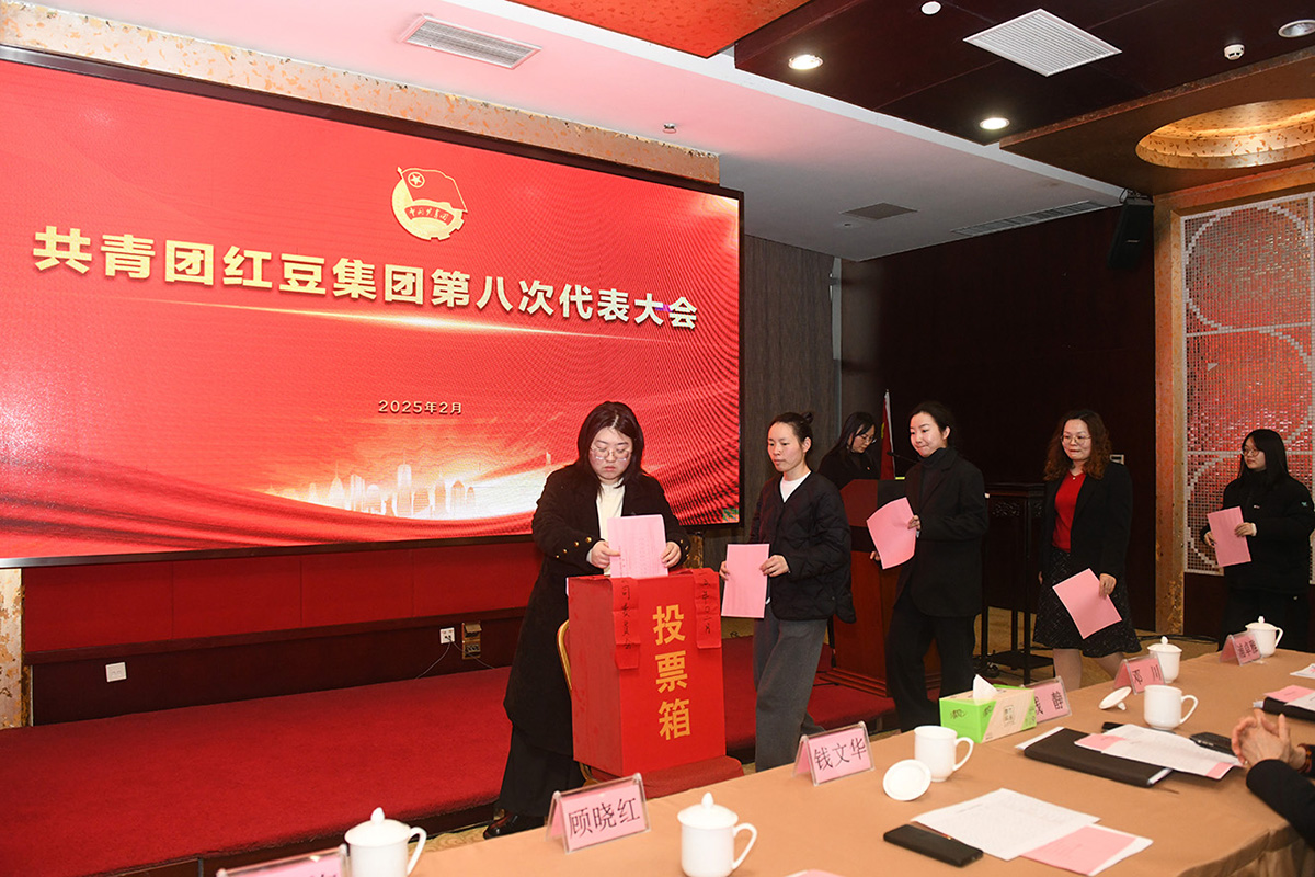 共青團第八次代表大會2 共青團第八次代表大會2